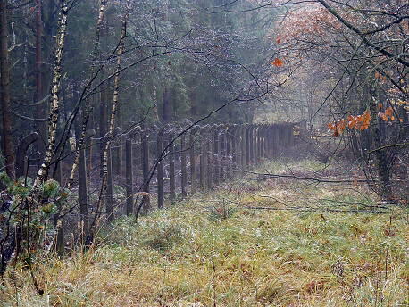 Alter Zaun im Munitionslager Boostedt (1964 - Hartwig Wilckens)